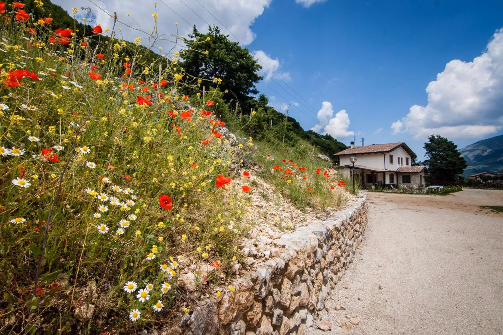 Le montagne del Parco Nazionale d'Abruzzo intorno all'agriturismo
